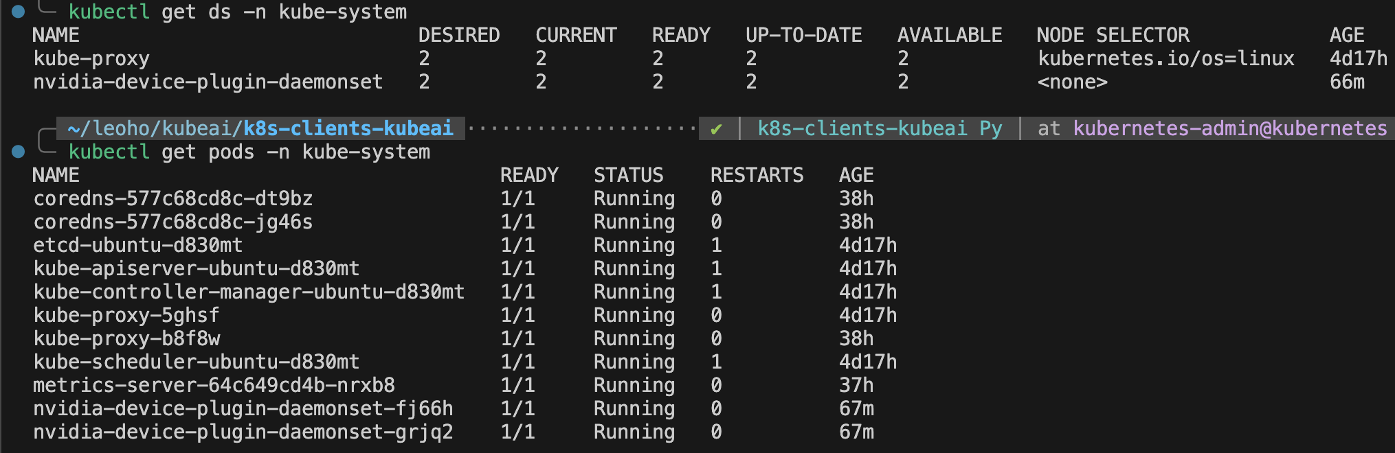 Check the status of NVIDIA Device Plugin DaemonSet and Pods in a Kubernetes cluster