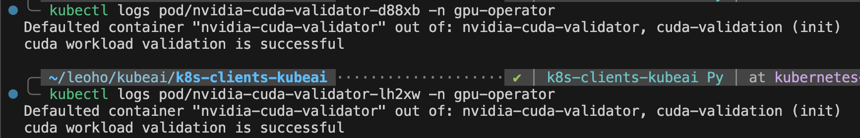 View the log output of Pod nvidia-cuda-validator deployed in all Worker nodes